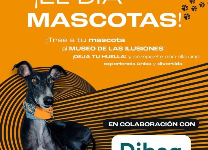 dia de las mascotas museo ilusiones sevilla